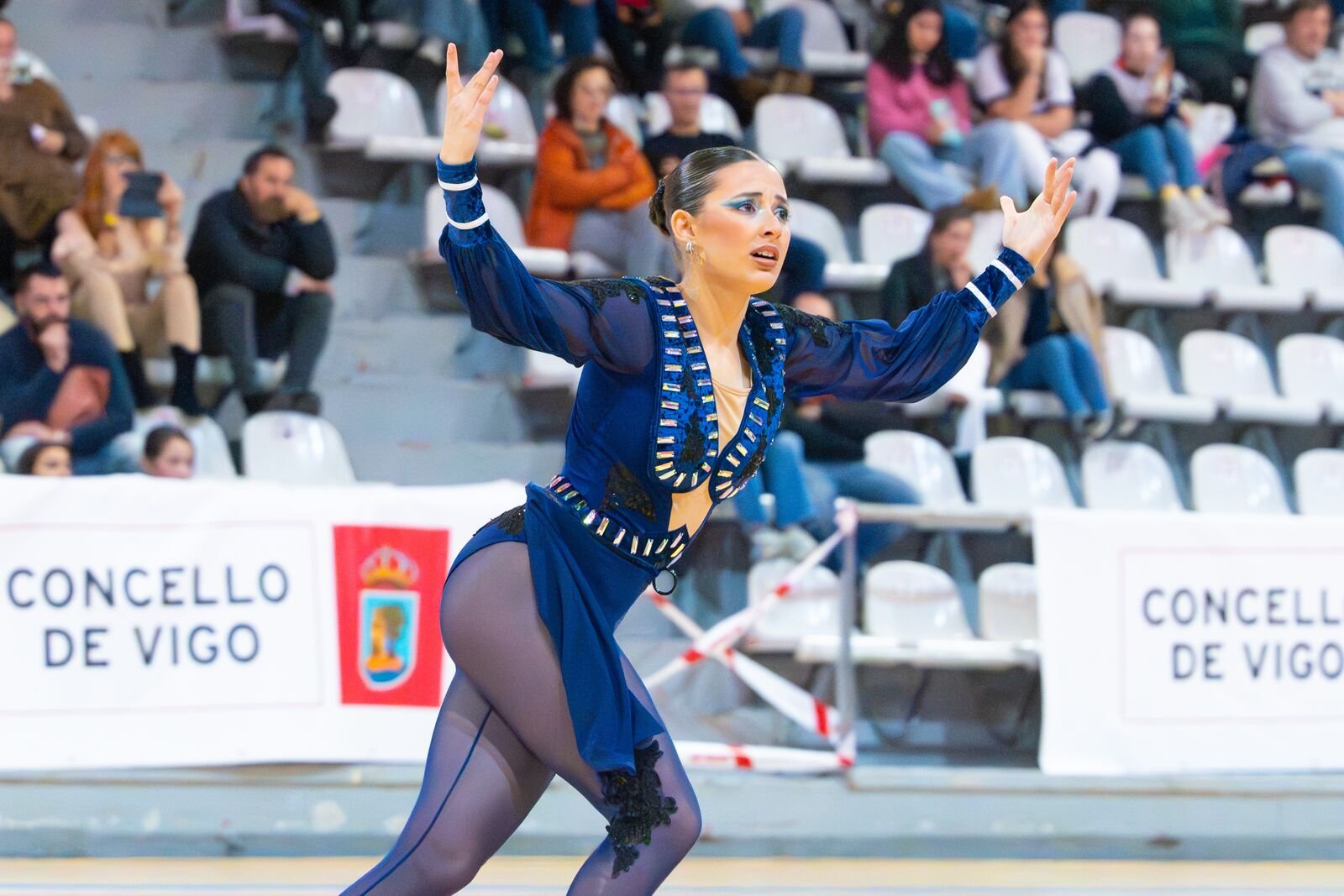 Patinadores durante una exhibición nocturna